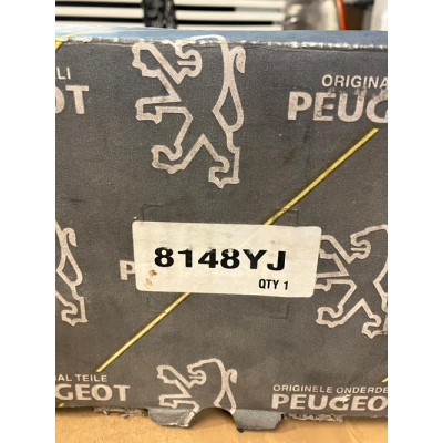 Genuine OE Peugeot 206 passenger side (nearside) manual heated wing mirror - 8148.YJ