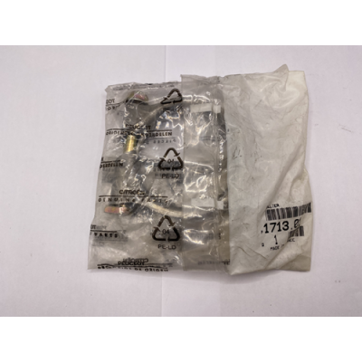 Genuine OE Peugeot 206 Exhaust System Fixing Clamp - 1713.01