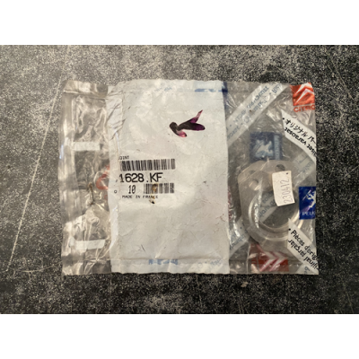 Genuine OE Peugeot 306 Emission Control Circuit Seal - 1628.KF