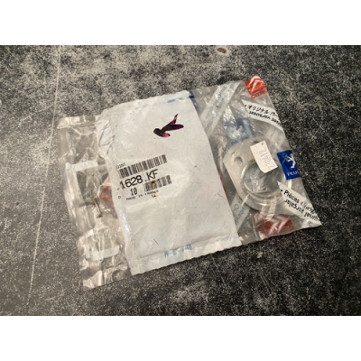 Genuine OE Peugeot 306 Emission Control Circuit Seal - 1628.KF