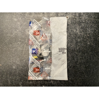 Genuine OE Peugeot Boxer License Plate Holder Wiring - 6559.E7