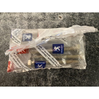 Genuine OE Peugeot 205 Hex Head Machine Screw - sold individually - 6922.17