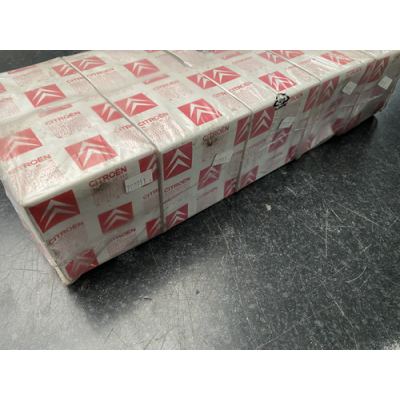 Genuine OE Citroen XM Fuel Filter Diesel SOLD INDIVIDUALLY - 1906.55