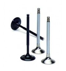 Supertech Inconel Peugeot 106 GTI Exhaust Valve (1)