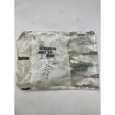 Genuine OE Peugeot 306 GTI-6 power steering pump securing bolt - 4007.N7 (1)