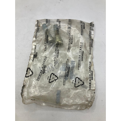 Genuine OE Peugeot 306 GTI-6 power steering pump securing bolt - 4007.N7 (1)