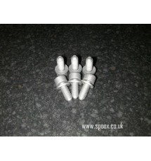 Peugeot 306 GTI-6 / Rallye Rear Brake Disc Cover Retaining Bolts (6)