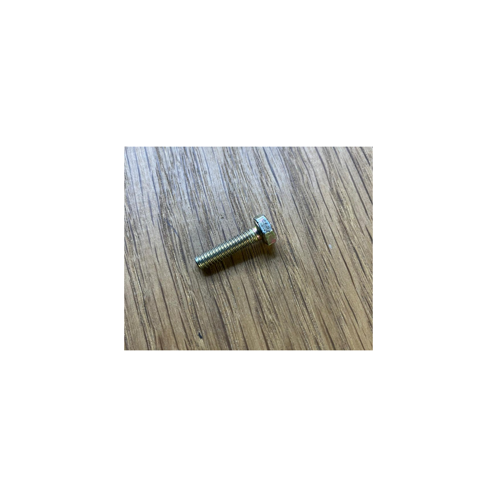 Brand New Genuine O/E Peugeot 205 fuel pump securing bolt - 6922.08 (1)