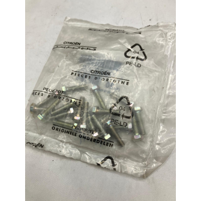 Brand New Genuine O/E Peugeot 205 fuel pump securing bolt - 6922.08 (1)