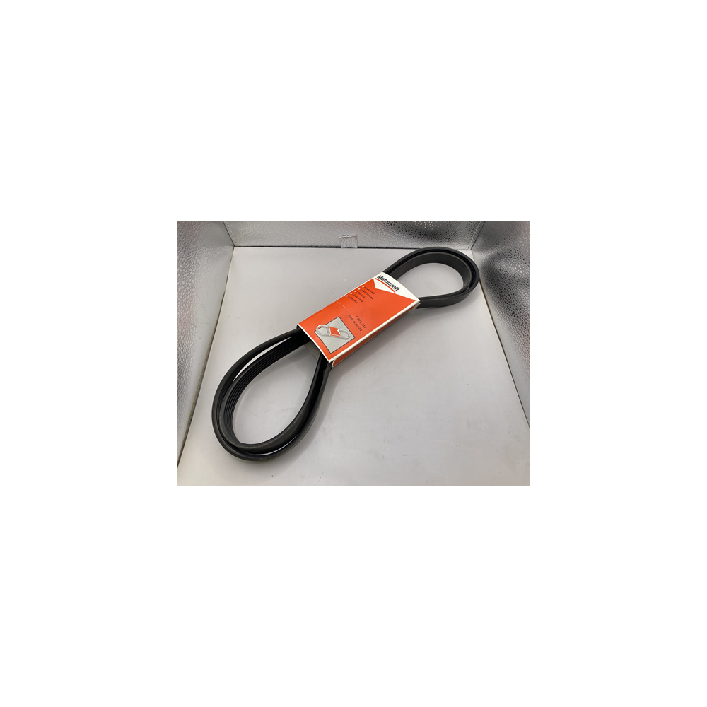 Motorcraft Fan Belt 6PK x 1893 - 1 072 317