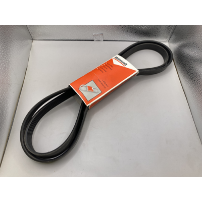 Motorcraft Fan Belt 6PK x 1893 - 1 072 317
