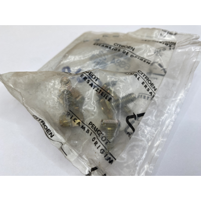 Genuine OE Peugeot 106 Cage Screw - 6984.22