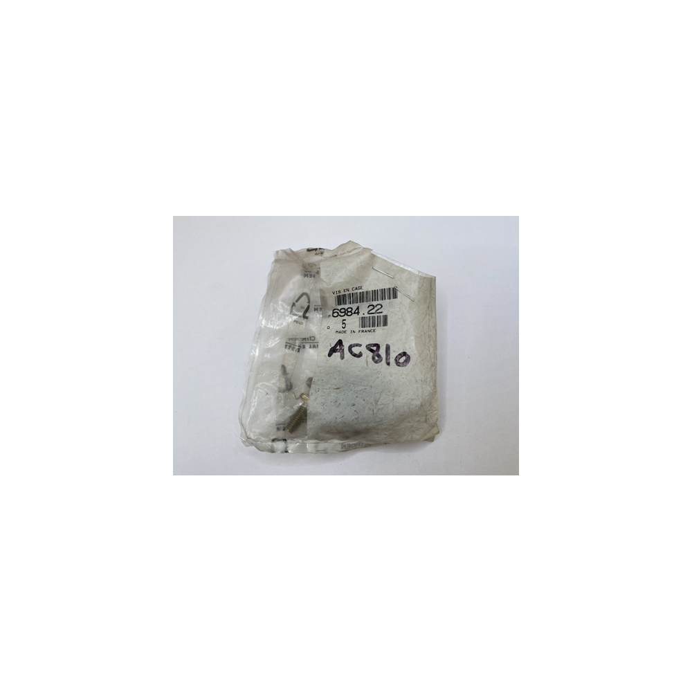 Genuine OE Peugeot 106 Cage Screw - 6984.22