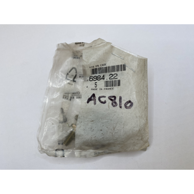 Genuine OE Peugeot 106 Cage Screw - 6984.22