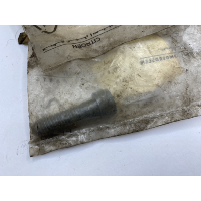 Genuine OE Peugeot 205 Socket Screw - 6913.H6