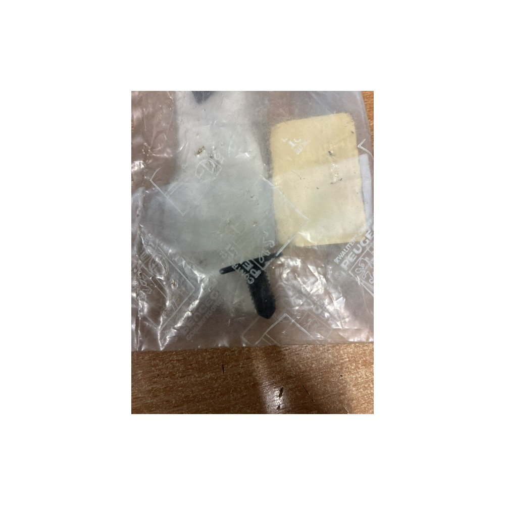 Brand New Genuine O/E Peugeot 106 retaining clip - 6992.E4 (1)