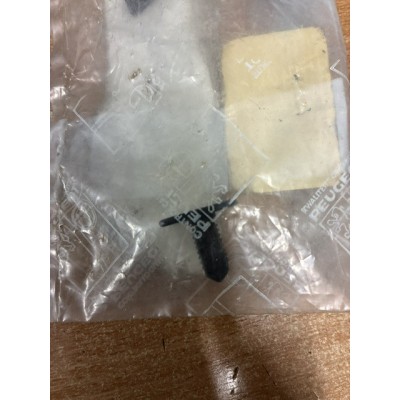 Brand New Genuine O/E Peugeot 106 retaining clip - 6992.E4 (1)