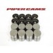 Piper Cams Peugeot 206 GTI Mechanical Followers