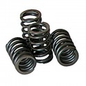 Piper Cams Peugeot 106 GTI Race Double Valve Springs