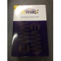Peugeot 106 GTI Front Lowering Springs - 50mm