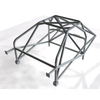 Roll Cages & Cage Mounts