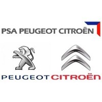 Peugeot / Citroen Silicone Hoses